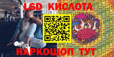 ПСИЛОЦИБИНОВЫЕ ГРИБЫ Шахты